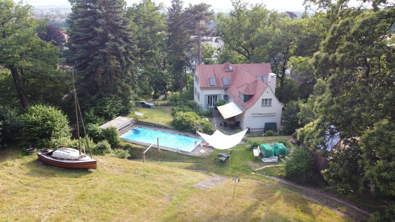 Villa Im Park Wachwitzgrund Dresde Exterior foto