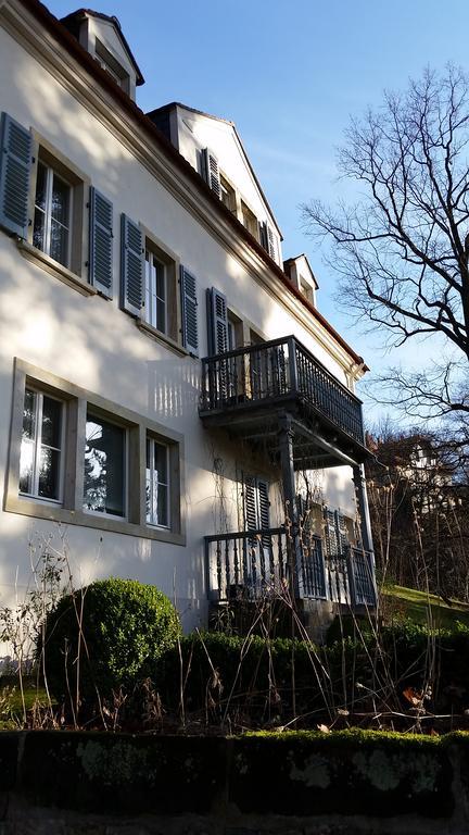 Villa Im Park Wachwitzgrund Dresde Exterior foto