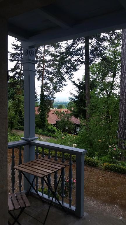 Villa Im Park Wachwitzgrund Dresde Exterior foto
